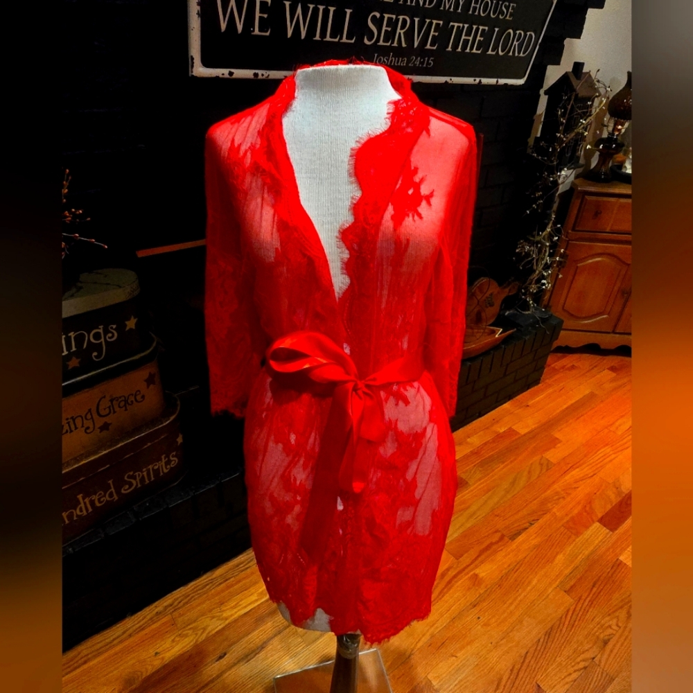 Sexy vintage  see-through lace robe.